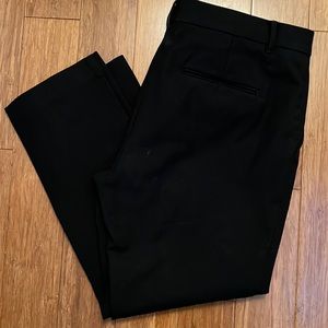 Ann Taylor Ankle Pant